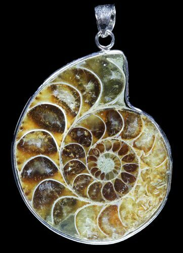 Fossil Ammonite Pendant - Million Years Old #89807